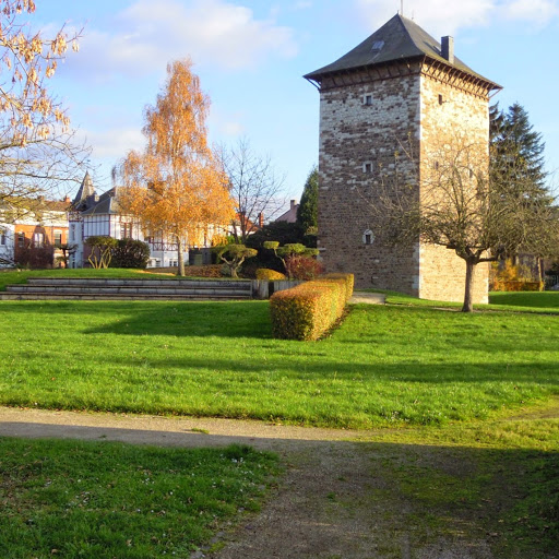 Assemblée Locale